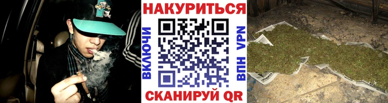 Конопля SATIVA & INDICA купить закладку Арамиль